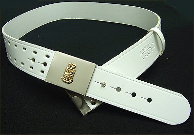 1x original vego Cinturone asta pendolo pilastro stabilità ANTERIORE 1e00-34-170 1107068